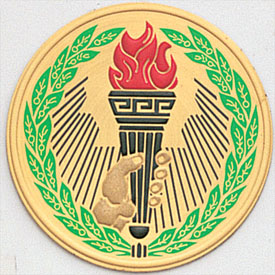 Color Torch Achievement Medal