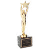 AWARDS