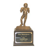 Fantasy Football Trophy