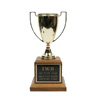 IWB Perpetual Trophy