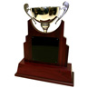 Showcase Perpetual Trophy