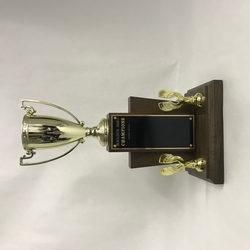 Ten Year Perpetual Trophy