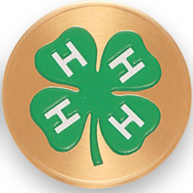 4H Club Medal