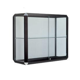 Prominence Series Wall Mountable Case