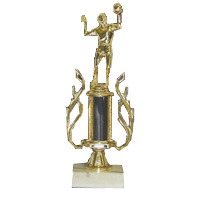 Color Column Volleyball Trophy