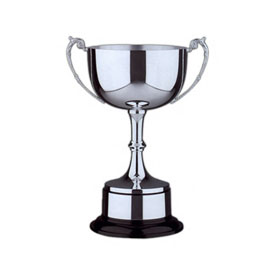 Silver/Blue Trophy handle CUP 245mm sport achievement award 