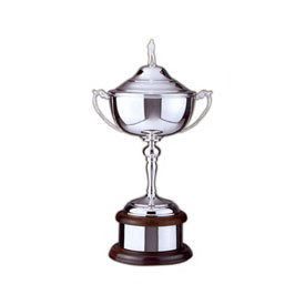 Prestige Golf Trophy Award