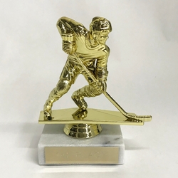 Value Hockey Trophy