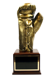 Soul Boxing Trophy Award Antique Gold 6.25 Inch 16cm ,Free p&p & Engraving 