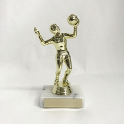 Value Volleyball Trophy