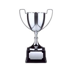 Silver//Blue Trophy handle CUP 275mm sport achievement award