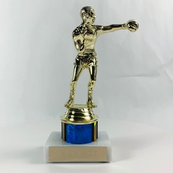 Boxing Trophy with 1 Color Column