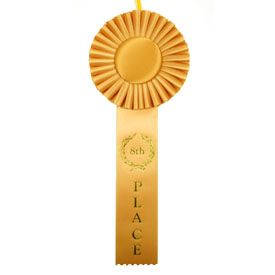 8th Place One Streamer Rosette Ribbon