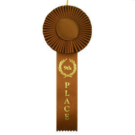 9th Place One Streamer Rosette Ribbon