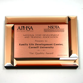 Beveled Copper Tinted Glass Plaque
