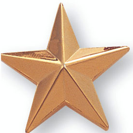 Star Pin Large