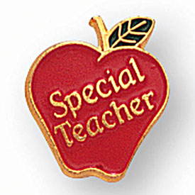 Special Teacher Apple Pin