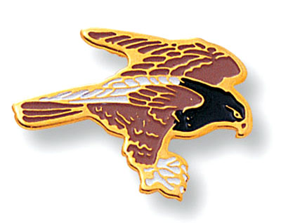 Hawk Mascot Pin