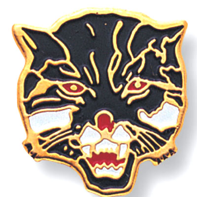 Wildcat Mascot Pin