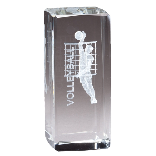 3D Crystal Male Volleyball Award