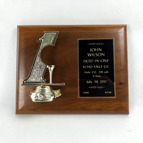 Hole in One Plaque