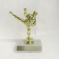 Karate Male Trophy