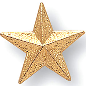 Large Star Pin