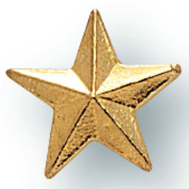 Small Star Pin