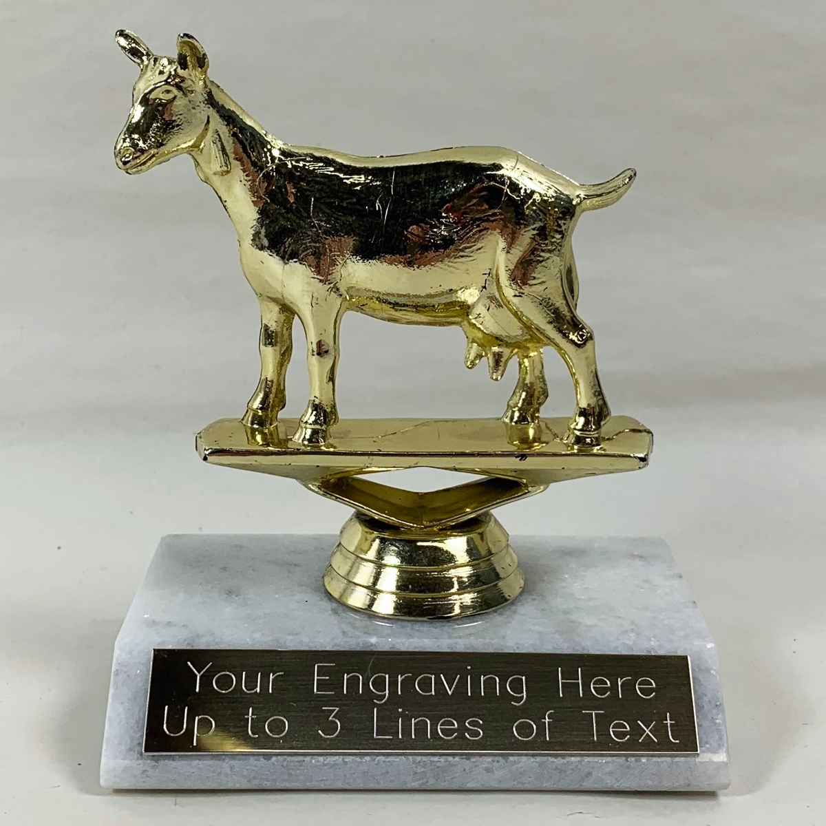 Goat Trophy Athletic Awards