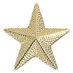 Chenille Star Pin