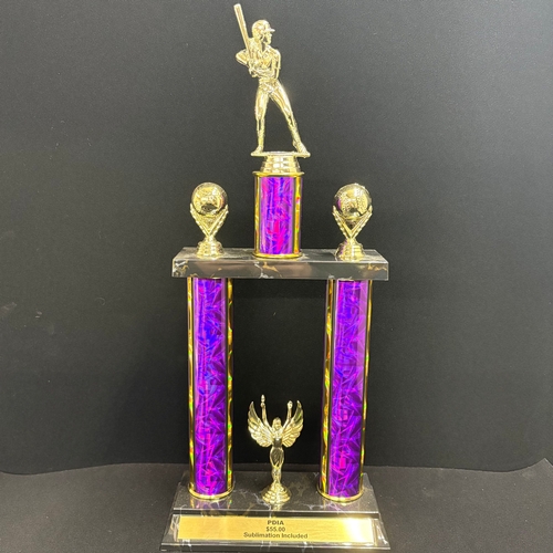 Baseball/Softball PDIA Two Poster Trophy