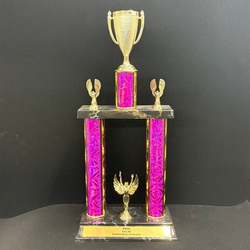 Custom PDIA Two Poster Trophy