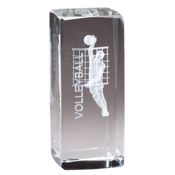 3D Crystal Male Volleyball Award